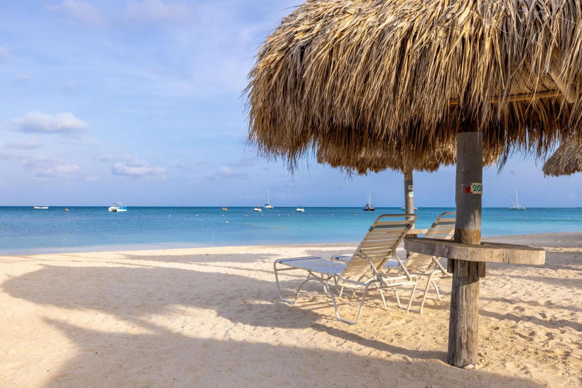 Marriott'S Aruba Surf Club Hotel Palm Beach Eksteriør billede